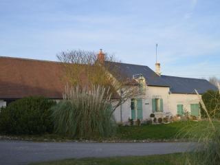 Chambres d'hôtes avec salle de jeux en Berry - FR-1-591-694 - Saulnay - 1