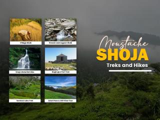 Moustache Shoja, Jibhi - 2