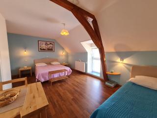 Ferme rénovée près de Beaugency, 4 chambres, petit-déjeuner maison, proche Loire à Vélo - FR-1-590-445 - Cravant - 5