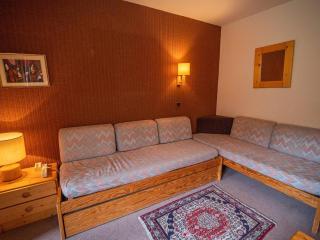 Appartement 2P au pied des pistes, animaux admis - FR-1-356-523 - 3