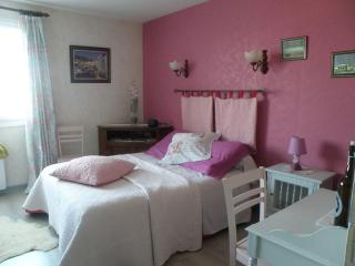 Chalet cosy avec cheminée et animaux acceptés - FR-1-585-144 - - 0