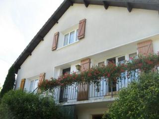 Chalet cosy avec cheminée et animaux acceptés - FR-1-585-144 - - 6