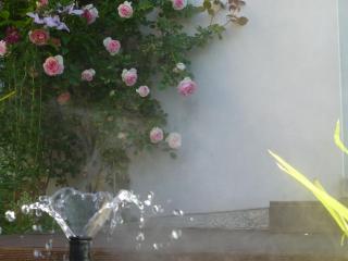 Maison bio-climatique avec vue sur la Meuse - FR-1-585-155 - Dun-sur-Meuse - 4