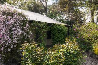 Jasmine's Barossa Valley Cottage - Lyndoch - 8