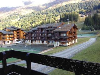 Studio skis aux pieds, animaux admis, balcon sud - FR-1-356-522 - Valmorel - 1