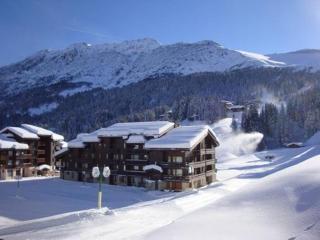 Appartement 2P au pied des pistes, animaux admis - FR-1-356-523 - Valmorel - 3
