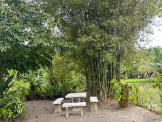 Baan Panmala Guesthouse - Ao Luek, Krabi - Krabi - 3