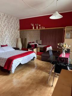 Appartamento Ferrucci - Torino - 9