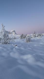 Perfectly Located Timber Cabin For 6-8 Guests - 7