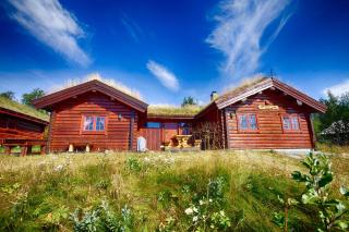 Perfectly Located Timber Cabin for 6-8 Guests - Beitostøl - 0