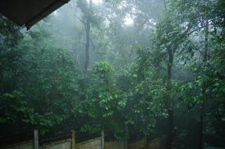 Lakkidi Mist Resort - Vythiri - 3