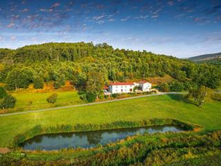Villa Carcenac - Piscine - Au coeur de la nature - Lisle-sur-Tarn - 9