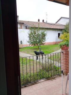 Cascina Trapella - Terruggia - 1