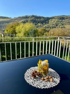 FEWO Klosterblick sowie Weinberge & Drachenflieger - 7