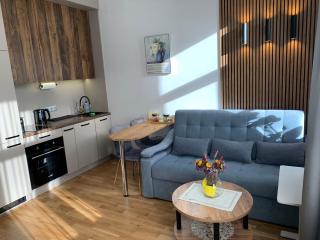 Premium Design, Renovated 2024 Free parking - Riga - 3