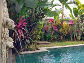 Canikaya Villa Ubud #1 - Ubud - 4