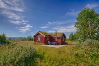 Charming Cabin with Old Timber, Fireplace & Views - Beitostøl - 0
