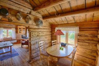 Charming Cabin with Old Timber, Fireplace & Views - Beitostøl - 5
