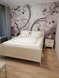 Privatus 2kambariu butas - Birštonas - 6