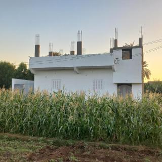 Nora House - 0