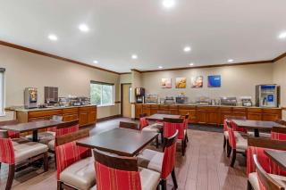Comfort Inn & Suites East Moline near I-80 - East Moline - 3
