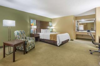 Quality Inn Paris - 7