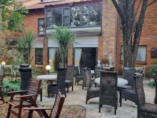 Peaceful Willows - 0