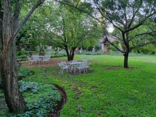 Peaceful Willows - 3