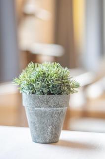 FineApartment Rendsburg - 4