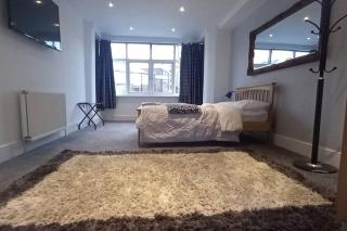 Lovely Commodious, Private Charming Studio, En Suite - Hillsborough - 9