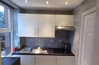 Lovely Commodious, Private Charming Studio, En Suite - Hillsborough - 3