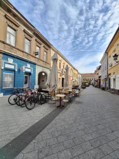 Hazelnut Apartment Novi Sad - 1