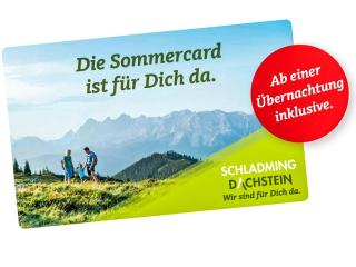 Holiday Home Walcher by Interhome - Ramsau am Dachstein - 9