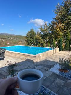 Pine Serenity Villa - Novoberdo - 7