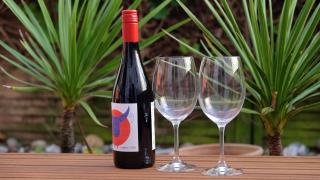 Spacious two bedroom, two bathroom Beach Nest with garden - 1