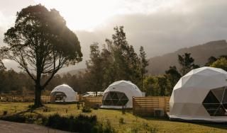 Wilder Tasmania - Gowrie Park - 9