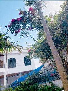 Appartement 1e Chambre - Résidence avec Piscine - Yaoundé - 5
