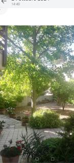 La niviera - Scerni - 9