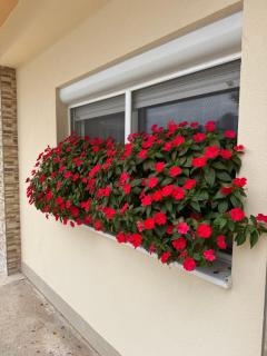 Pansion Speranza Međugorje - Međugorje - 7