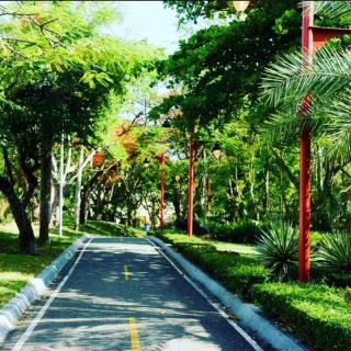 Apartmento en el corazón de la ciudad con piscina infinita y vista al mar - 7