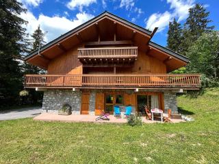 Studio confortable avec balcon, ski aux pieds, proche navette, Chalet les Sylvanelles, Les Allues - FR-1-688-32 - 2