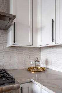 Large 2-Bedroom with Huge Roof Deck view of Chicago Skyline - 5