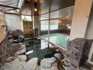 Hotel Yuzawa Yuzawa Denkiya - Yuzawa - 5