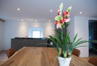 Apartment Bergzauber Solara for 5 people - Lenzerheide biathlon center - Lenz - 6