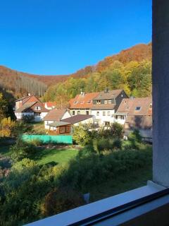 AM BERG Hotel - Herzberg am Harz - 1