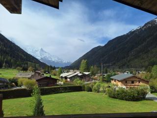 Les Grands Montets Hotel & Spa - Chamonix - 7
