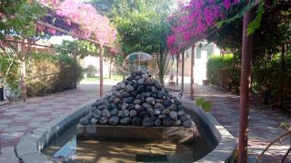 Al Bayan Palms - Nizwa - 6