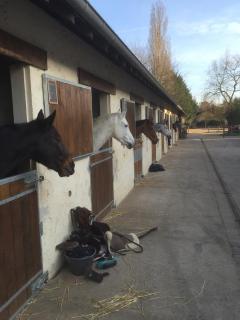 Les Prémices De La Forêt - 6