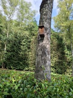 Le coin de Magali - Malmedy - 5
