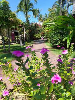 Hotel Casa Robinson - Las Terrenas - 0